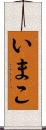 いまこ Scroll