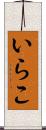 いらこ Scroll