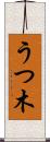 うつ木 Scroll