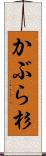 かぶら杉 Scroll