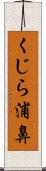 くじら浦鼻 Scroll