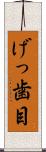 げっ歯目 Scroll