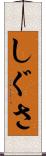 しぐさ Scroll