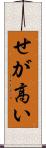 せが高い Scroll