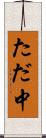 ただ中 Scroll