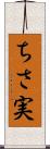 ちさ実 Scroll