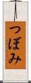 つぼみ Scroll