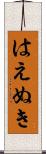 はえぬき Scroll