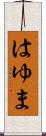 はゆま Scroll
