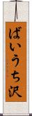 ばいうち沢 Scroll
