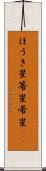 ほうき星 Scroll