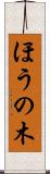 ほうの木 Scroll