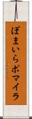 ぽまいら Scroll