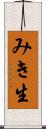 みき生 Scroll
