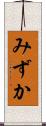 みずか Scroll