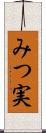 みつ実 Scroll