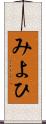みよひ Scroll