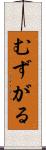 むずがる Scroll