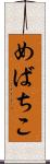 めばちこ Scroll
