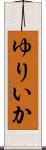 ゆりいか Scroll