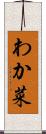 わか菜 Scroll