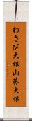 わさび大根;山葵大根 Scroll