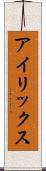アイリックス Scroll
