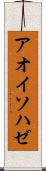 アオイソハゼ Scroll