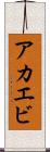 アカエビ Scroll