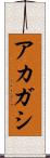 アカガシ Scroll