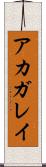 アカガレイ Scroll