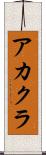 アカクラ Scroll