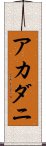 アカダニ Scroll