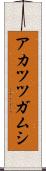 アカツツガムシ Scroll