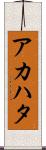 アカハタ Scroll