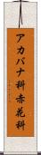 アカバナ科 Scroll