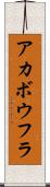 アカボウフラ Scroll