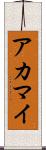 アカマイ Scroll