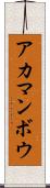 アカマンボウ Scroll