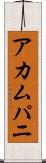 アカムパニ Scroll