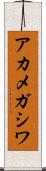 アカメガシワ Scroll