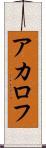 アカロフ Scroll