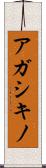 アガシキノ Scroll