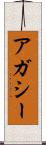アガシー Scroll