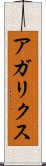 アガリクス Scroll