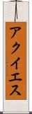 アクイエス Scroll