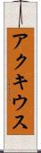 アクキウス Scroll