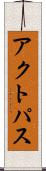 アクトパス Scroll