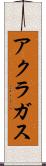 アクラガス Scroll