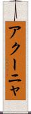 アクーニャ Scroll